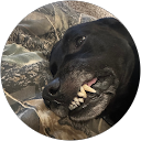 Savannah Bright profile picture